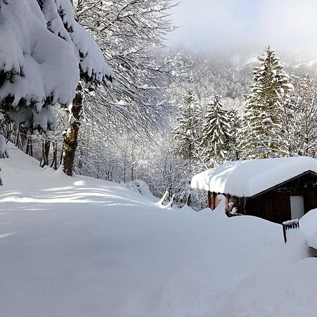 Ferienhaus Baerschwendi لونغرن المظهر الخارجي الصورة