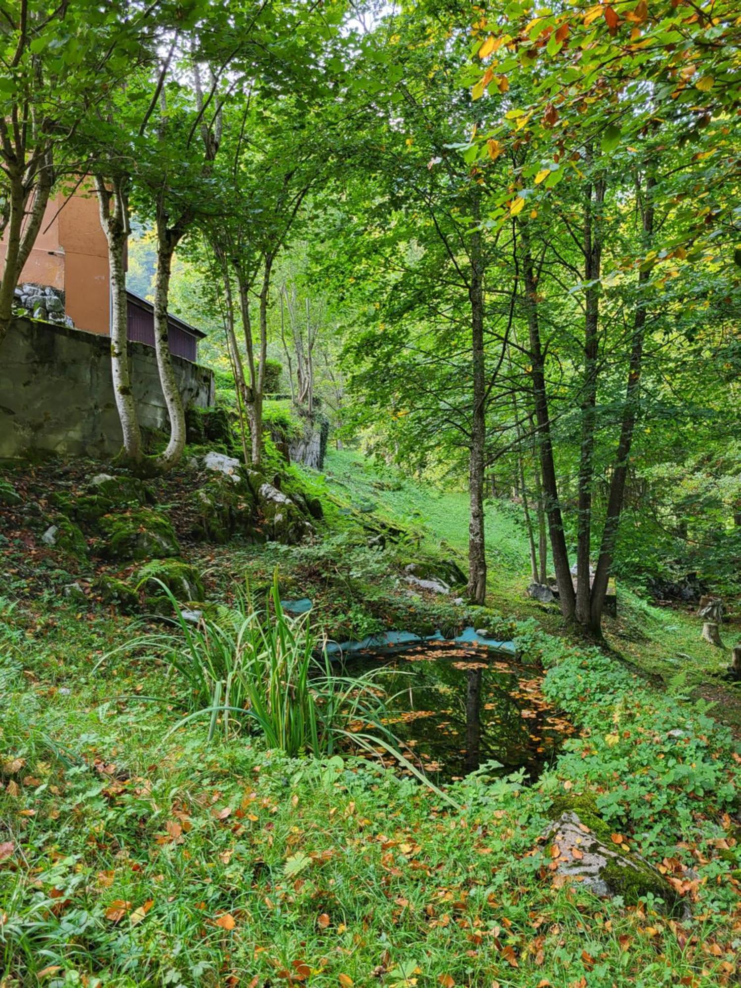 Ferienhaus Baerschwendi لونغرن المظهر الخارجي الصورة